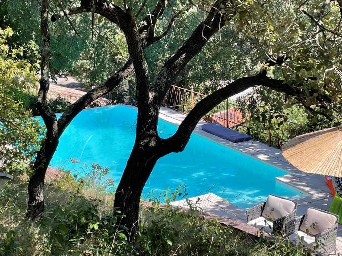 Villa Jolie Annexe Du Mas Dans Le Coeur De La Garrigue Nimoise Nimes Exterior foto
